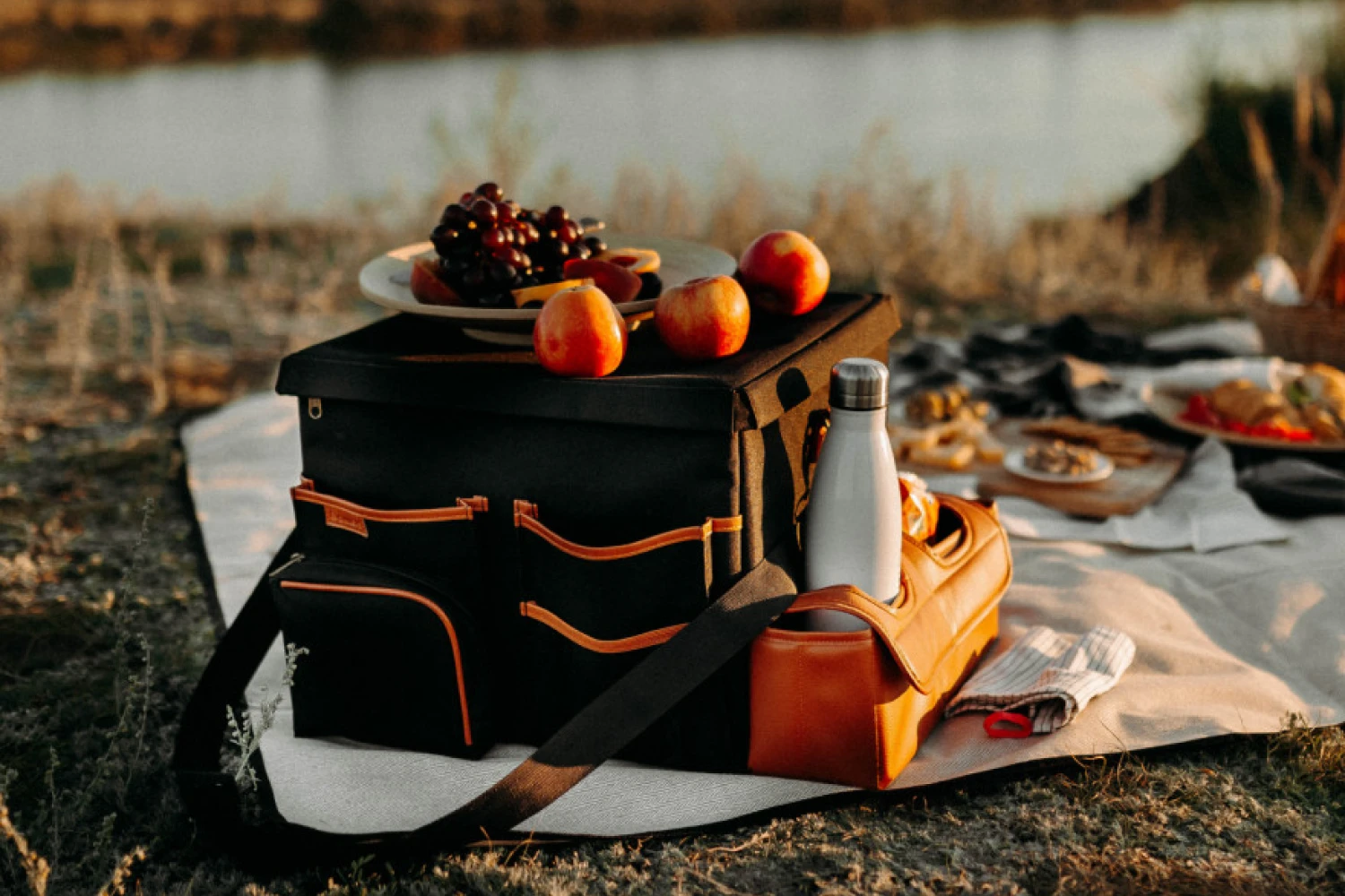 park picnic blanket