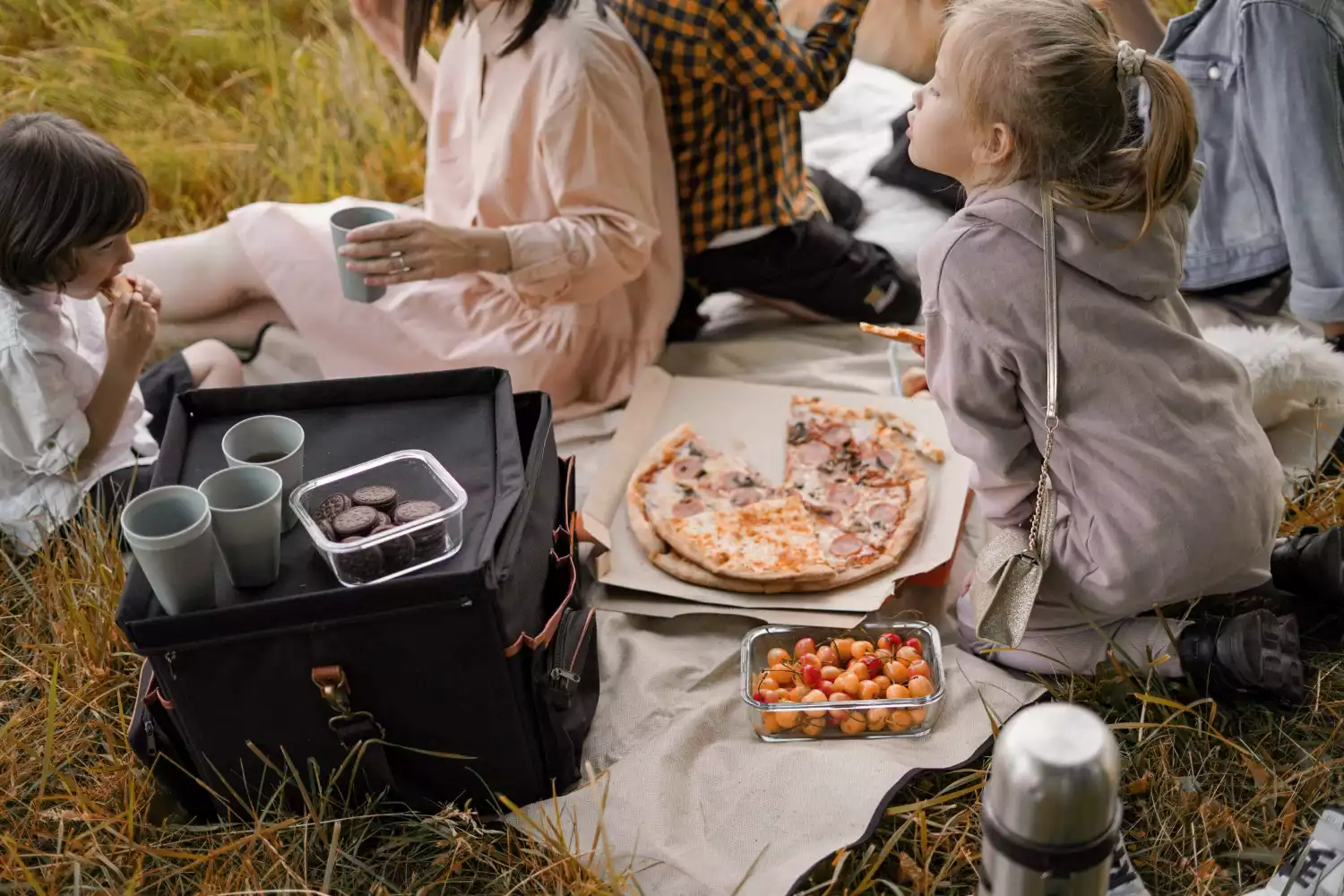 park picnic blanket