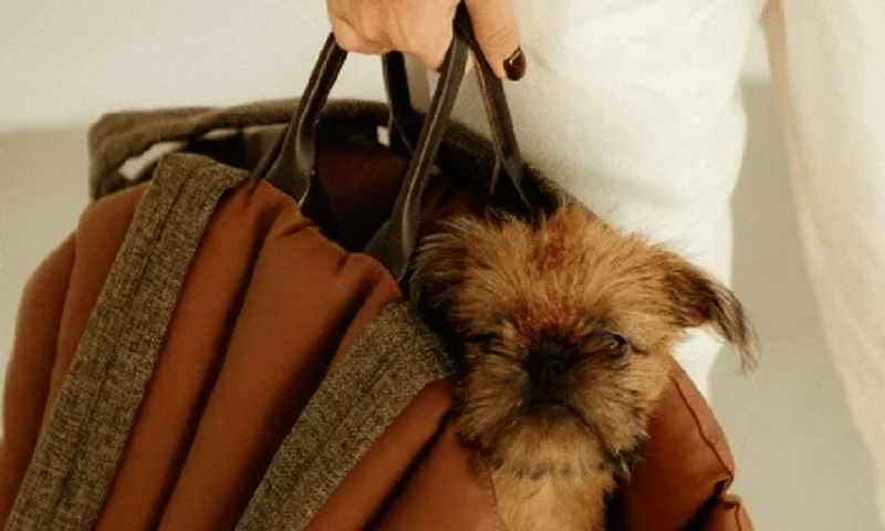 Dog Carrier Purse for Cairn Terrier