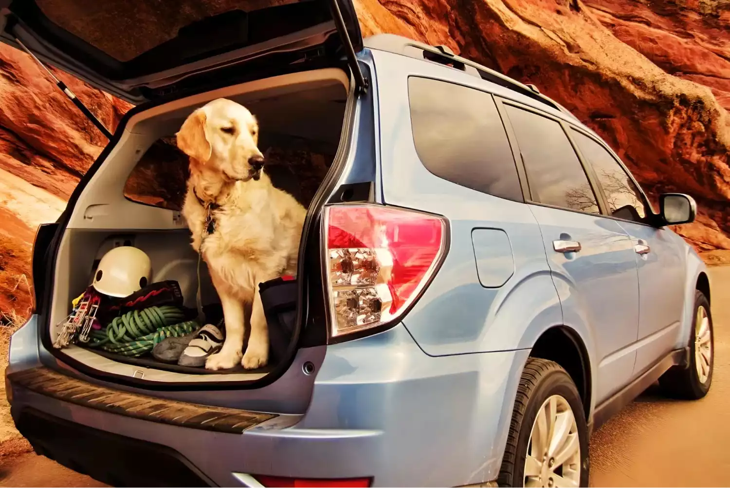 trunk organizer for Subaru Forester