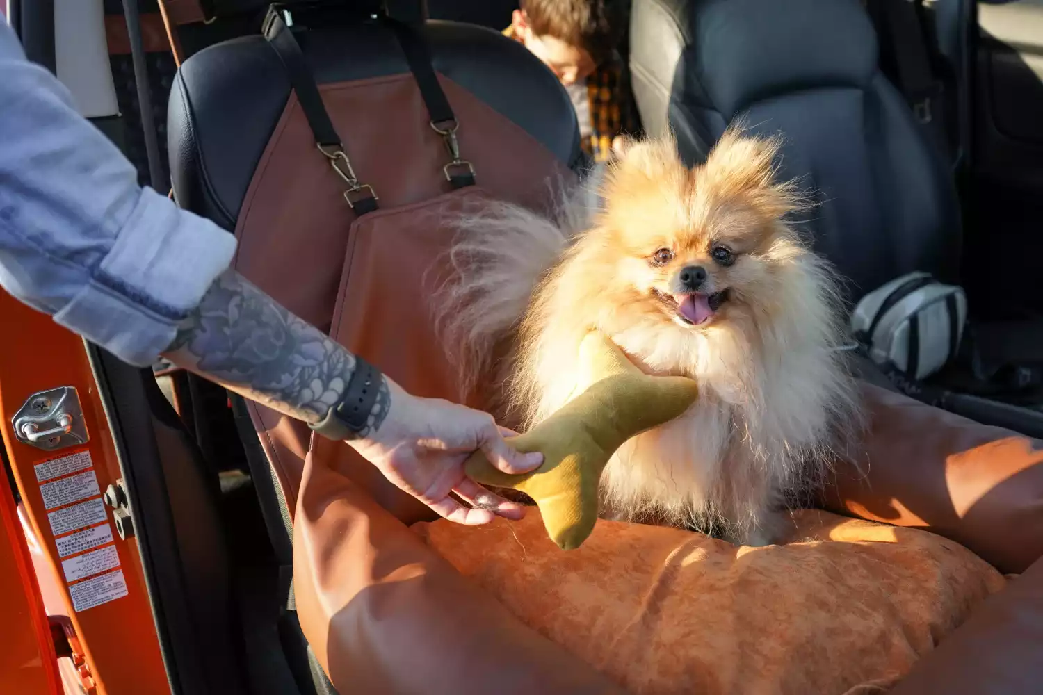 Miniature Poodles Dog Car Seat for Hyundai Palisade