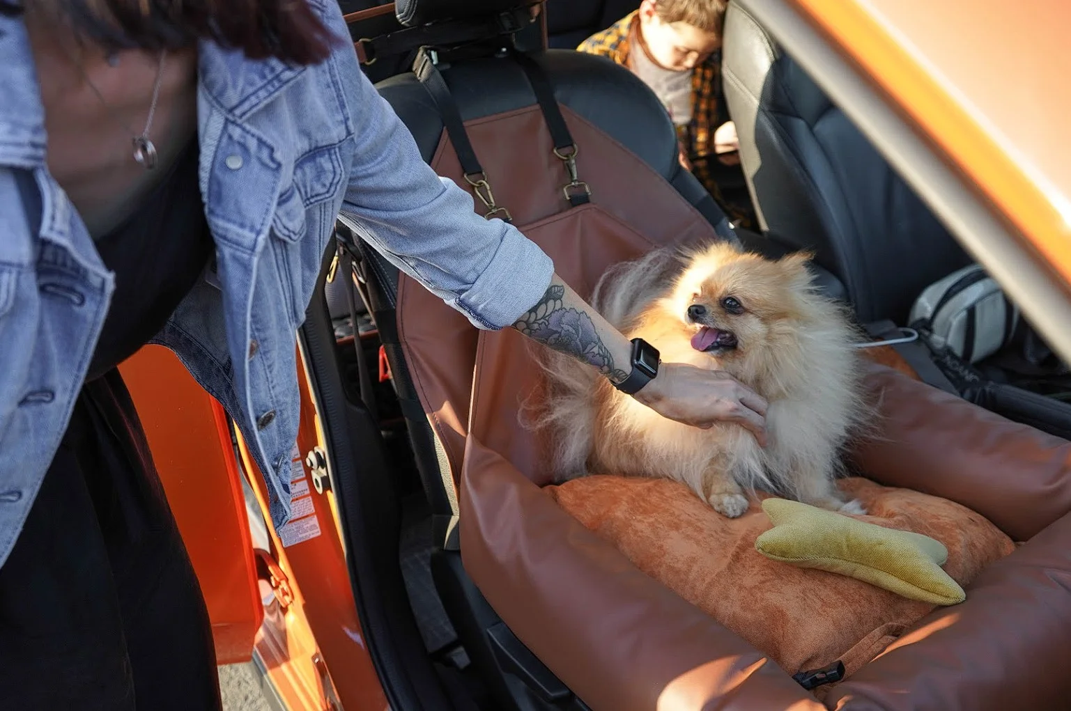 Italian Greyhounds Dog Car Seat for Toyota Camry